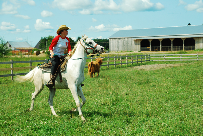 cowboy-dans-lame-baluchon-equitation