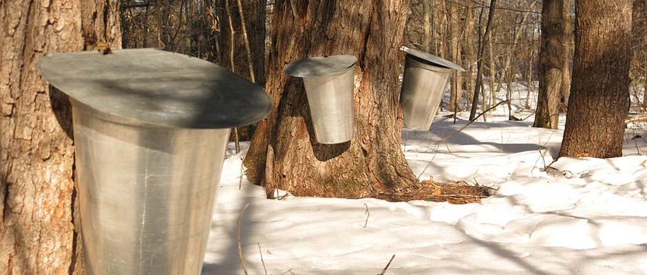 6 Cabanes A Sucre En Mauricie Pour Se Sucrer Le Bec Ce Printemps Tourisme Mauricie