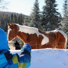 Pourvoirie Waban-Aki - Chevaux