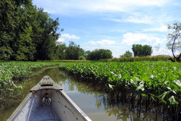 safari-bayou-pourvoirie-lac-st-pierre-croisiere