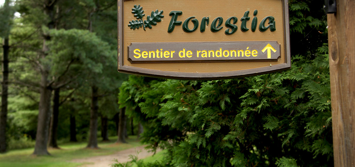 Forestia Ces 7 Km De Sentiers Méconnus Sont Un Bijou Pour