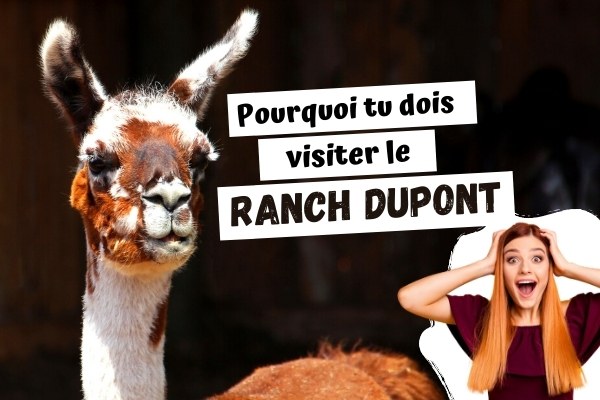 Activité à faire en famille en Mauricie