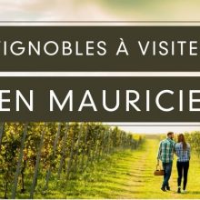 Vignobles à visiter en Mauricie, activité en couple ou entre amies