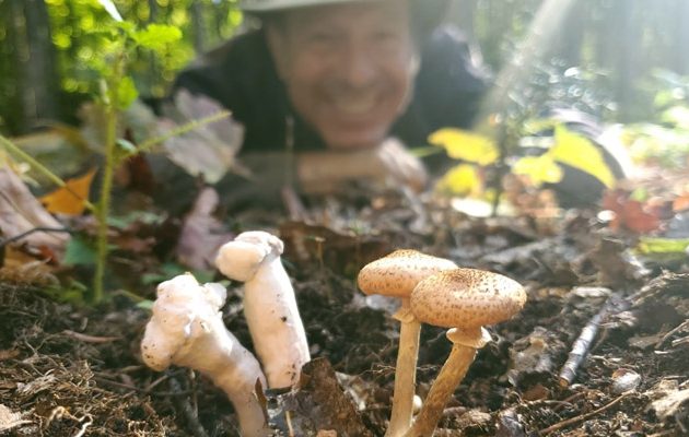 Passionnés de cueillette de champignons
