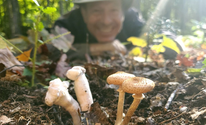Passionnés de cueillette de champignons