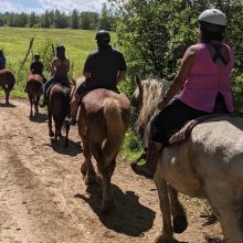 cours equestre mauricie